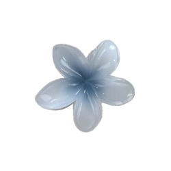 کلیپس گل پلومریا