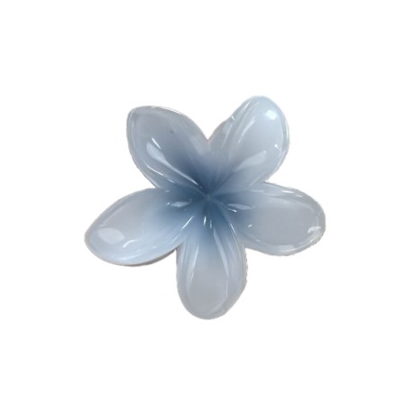 کلیپس گل پلومریا